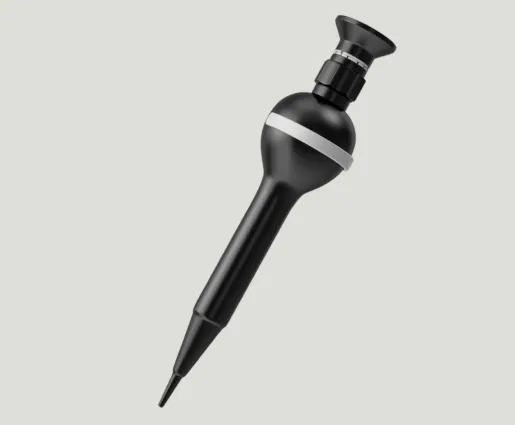 Endoscope